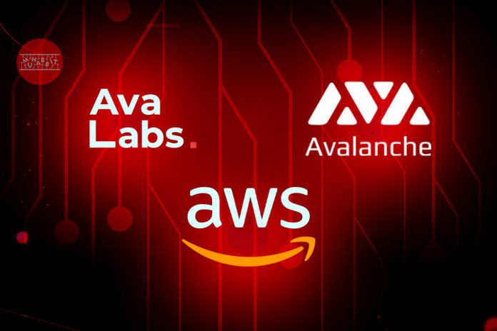 Avalanche (AVAX) tăng 37% sau thông báo hợp tác với Amazon