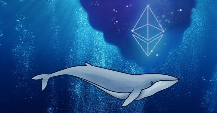 Cá voi từng mua Ethereum với giá 0,31 USD đã gửi một lượng tiền đáng kể vào Binance